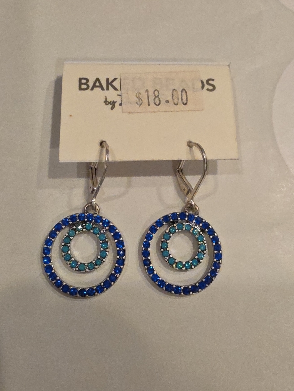 Blue & Teal Double Circle Drop Earrings